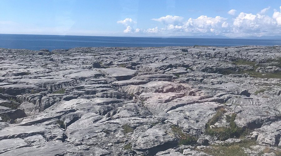 Beauty Of The Burren Walks
